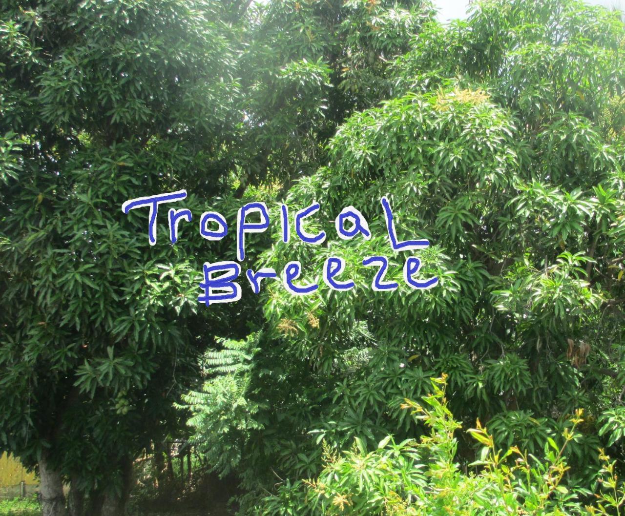 Tropical Breeze Vacation Home And Apartments โกรส อิส์ลีต ภายนอก รูปภาพ