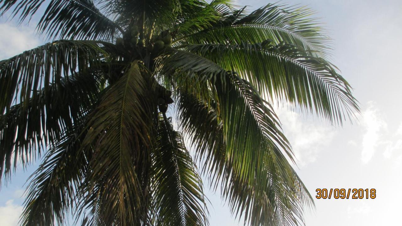 Tropical Breeze Vacation Home And Apartments โกรส อิส์ลีต ภายนอก รูปภาพ